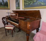 Хаммерклавир в парадной зале