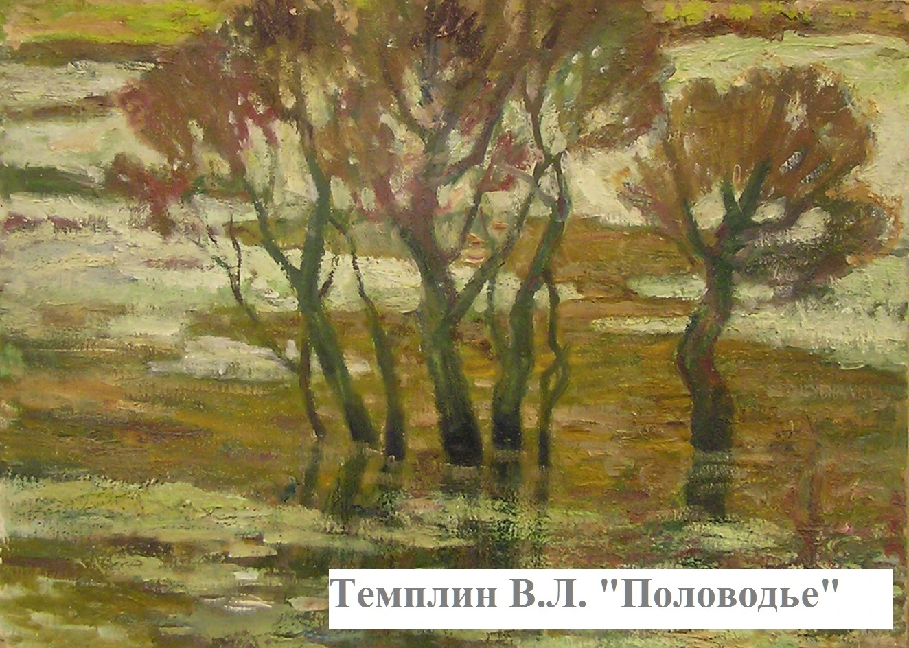 Темплин В.Л. Половодье