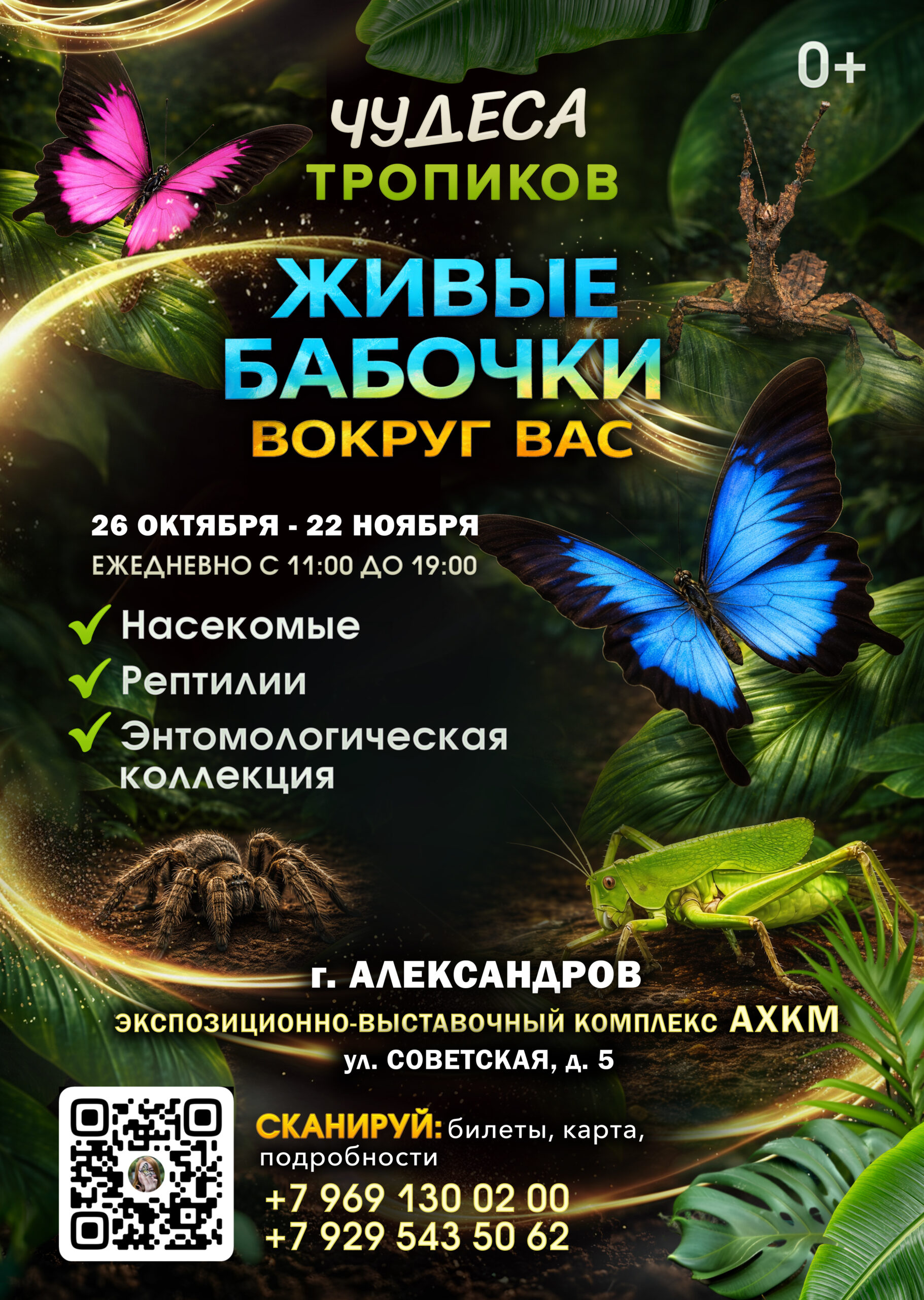Афиша выставки «Чудеса тропиков и живые бабочки», 26 октября — 22 ноября 2026 года